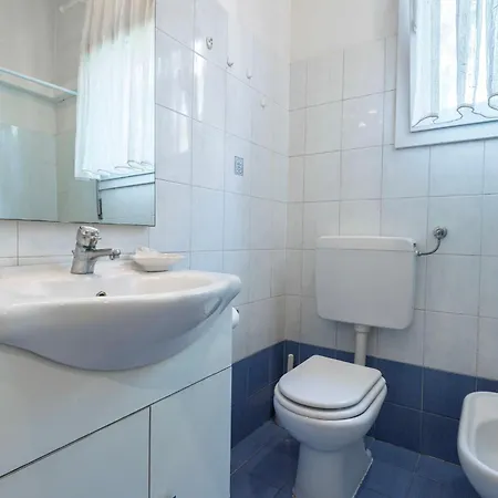 Orso Marino * Venezia Lido