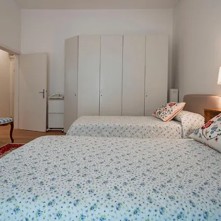 Orso Marino Venezia Lido