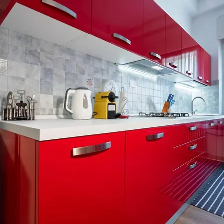 Orso Marino Venezia Lido