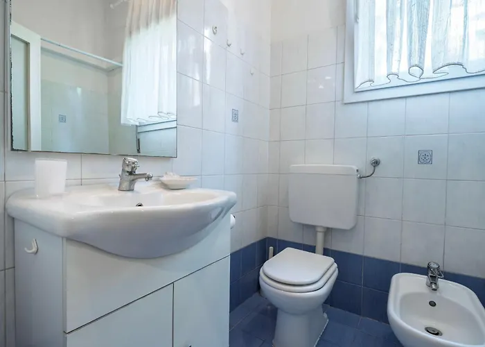 Orso Marino * Lido de Venise