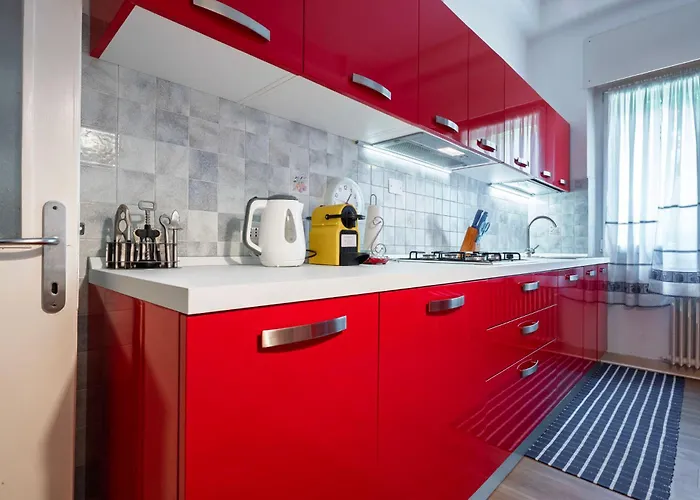 Orso Marino Lido de Venise